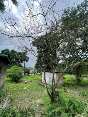 Plot Area SQM 980 for Sale at Kimara Kona