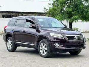 Toyota Vanguard 2008 Brown