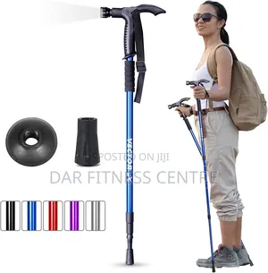 Hiking Stick.