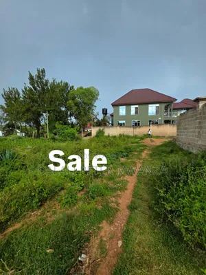 Kiseke Mwanza