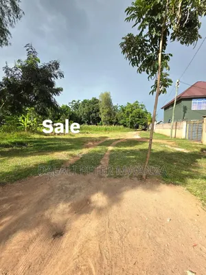 Kiseke Mwanza