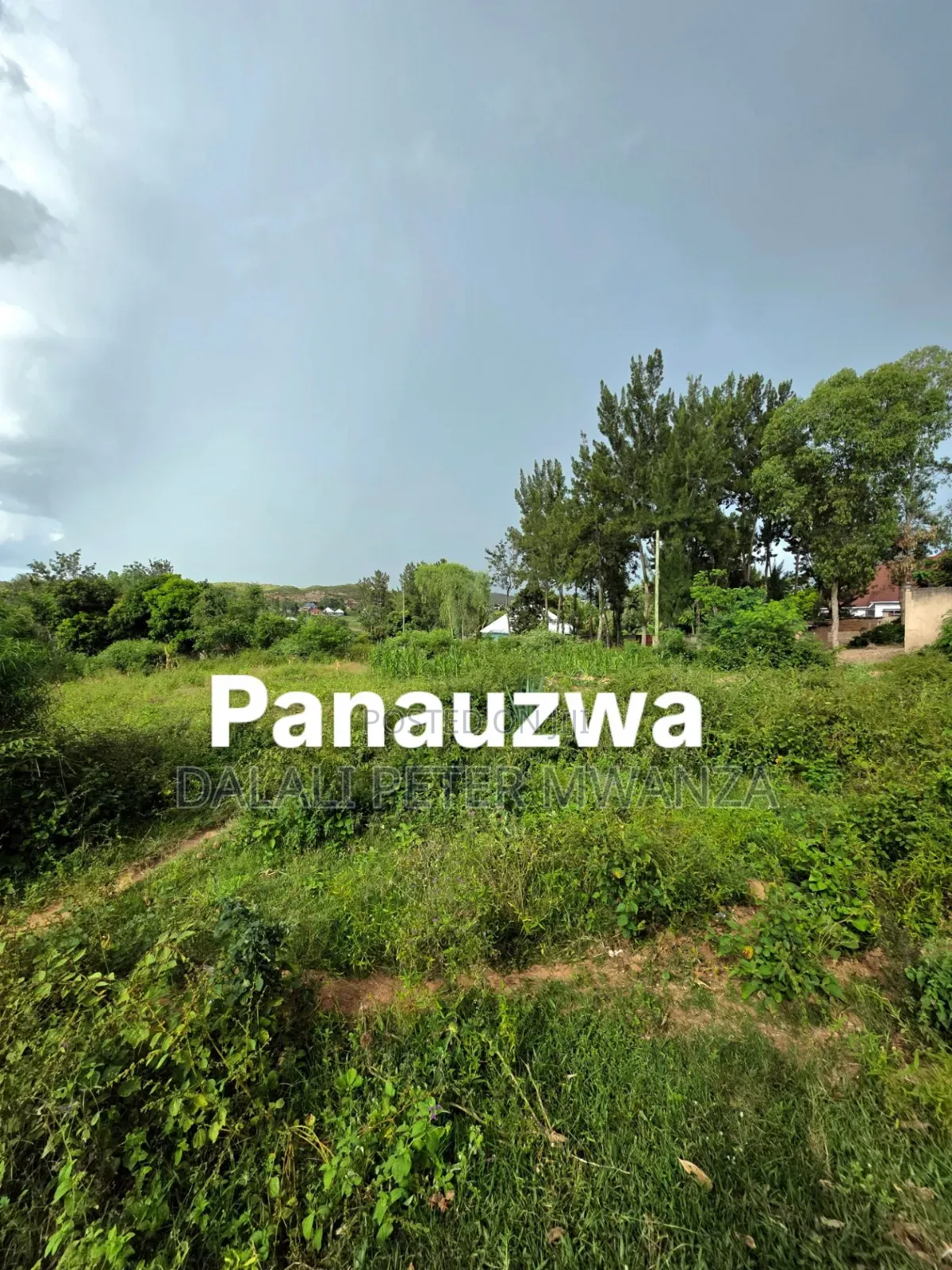 Kiseke Mwanza