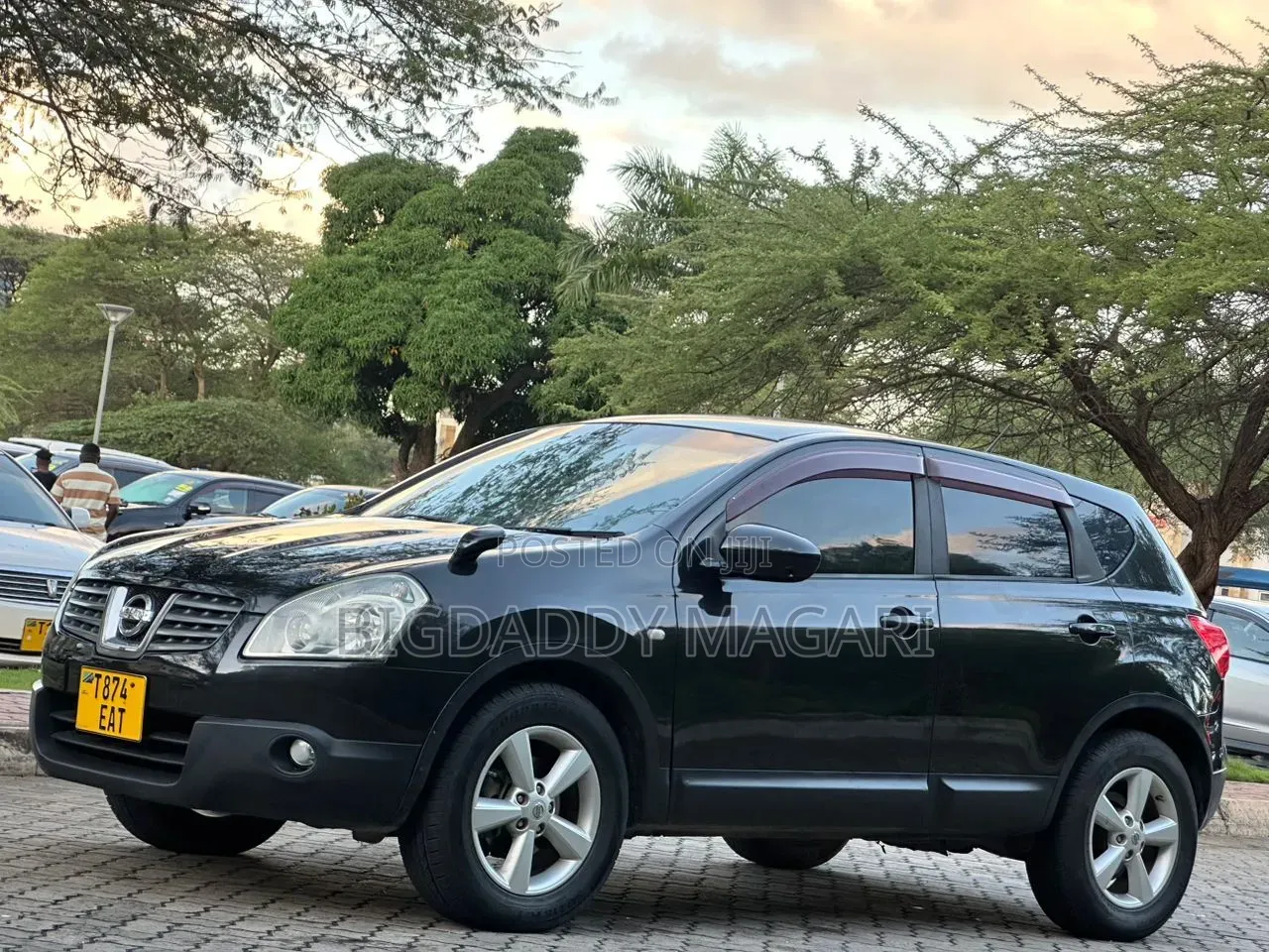 Nissan Dualis 2010