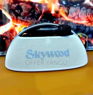 Skywood Boombox 2