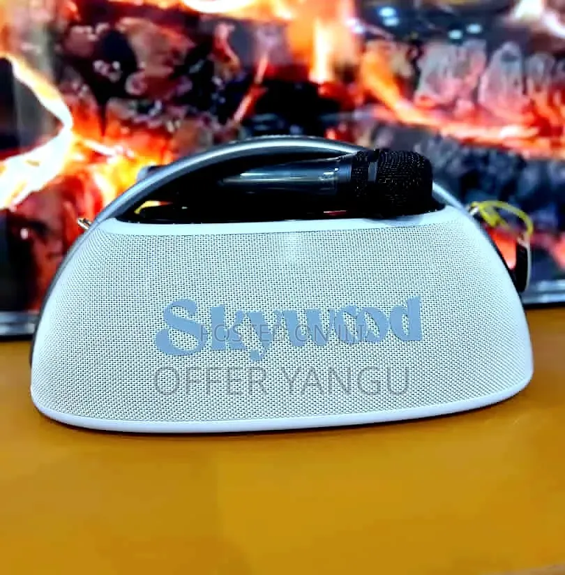 Skywood Boombox 2
