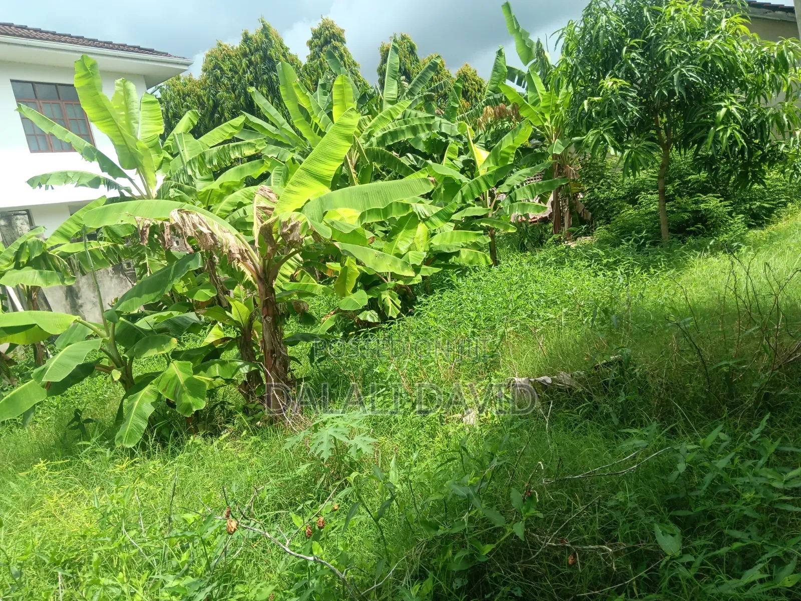 Plot for Sale at Mbezi Beach Africana