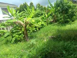 Plot for Sale at Mbezi Beach Africana