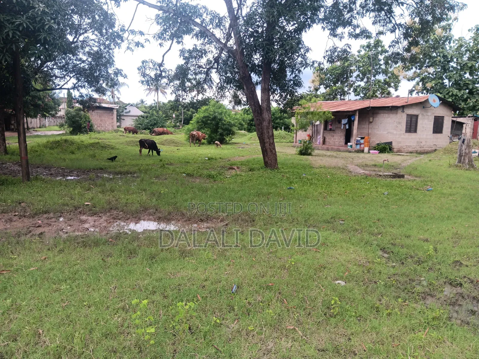 Plot for Sale at Mbezi Beach Africana