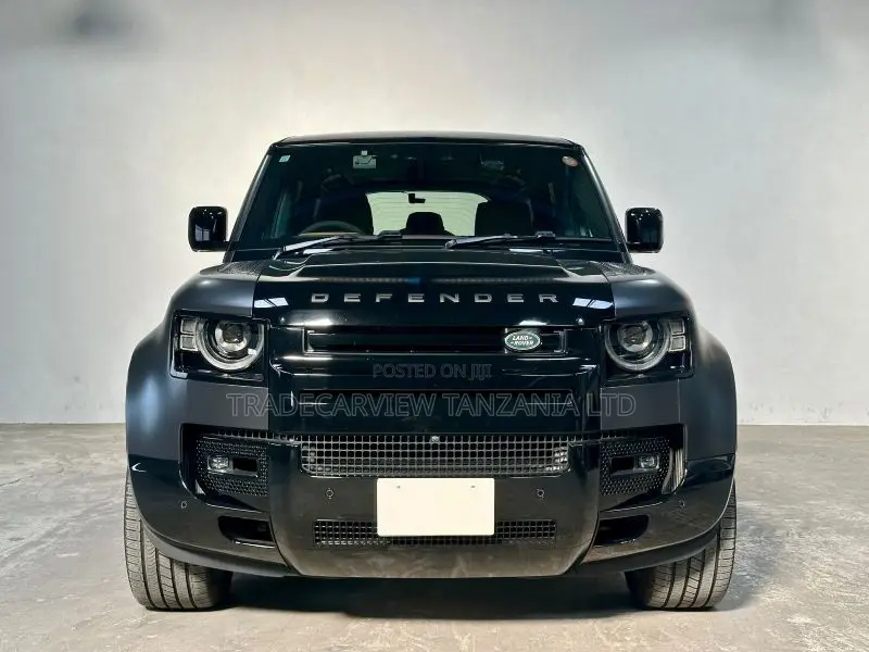 Land Rover Defender Carpathian Edition 2023 Gray