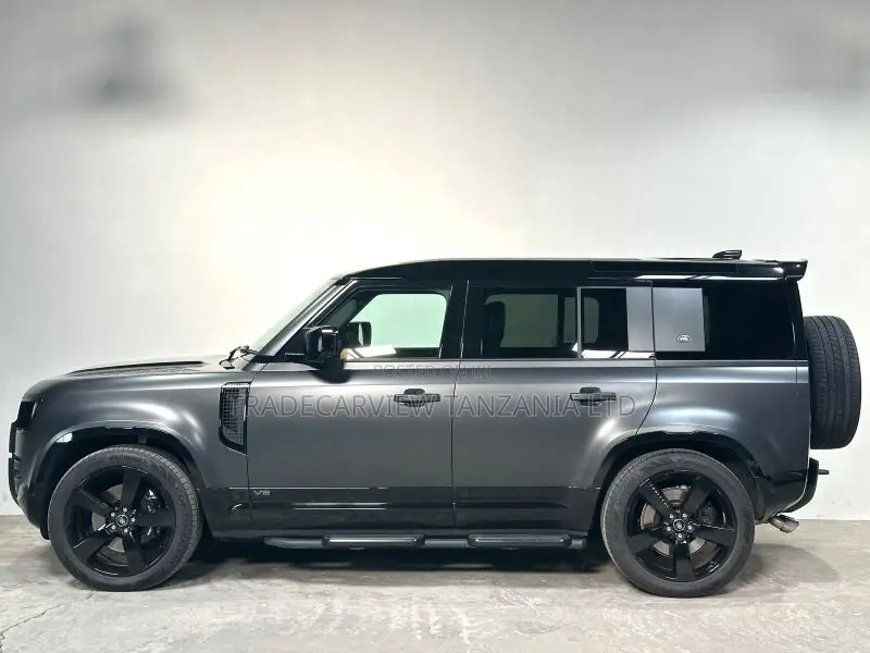 Land Rover Defender Carpathian Edition 2023 Gray