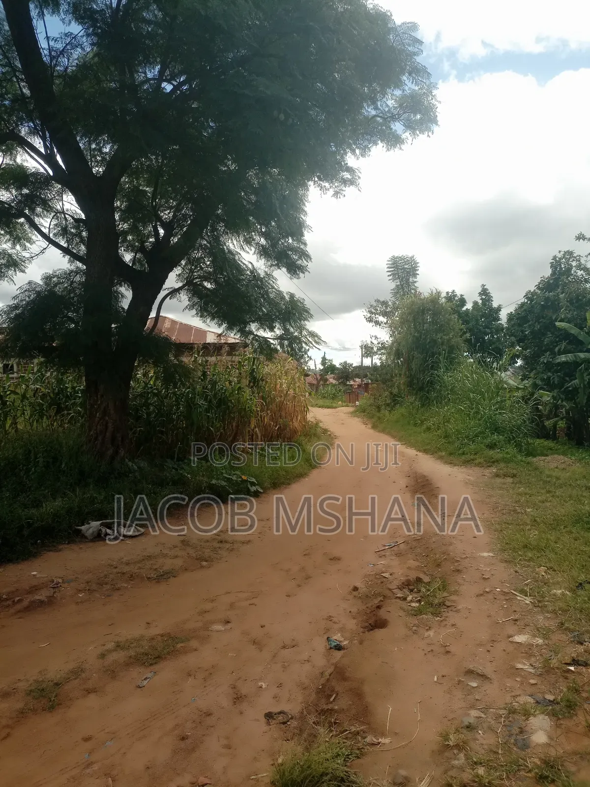 Plot Inauzwa Lugalo