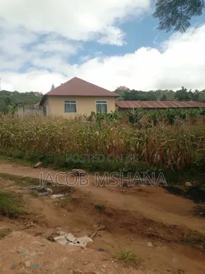Plot Inauzwa Lugalo