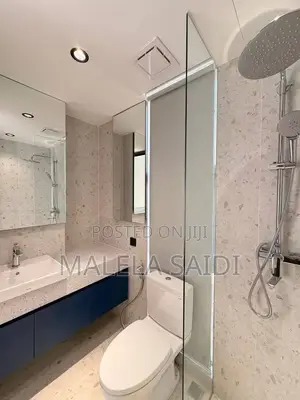 Furnished 3bdrm Apartment in Masaki for rent