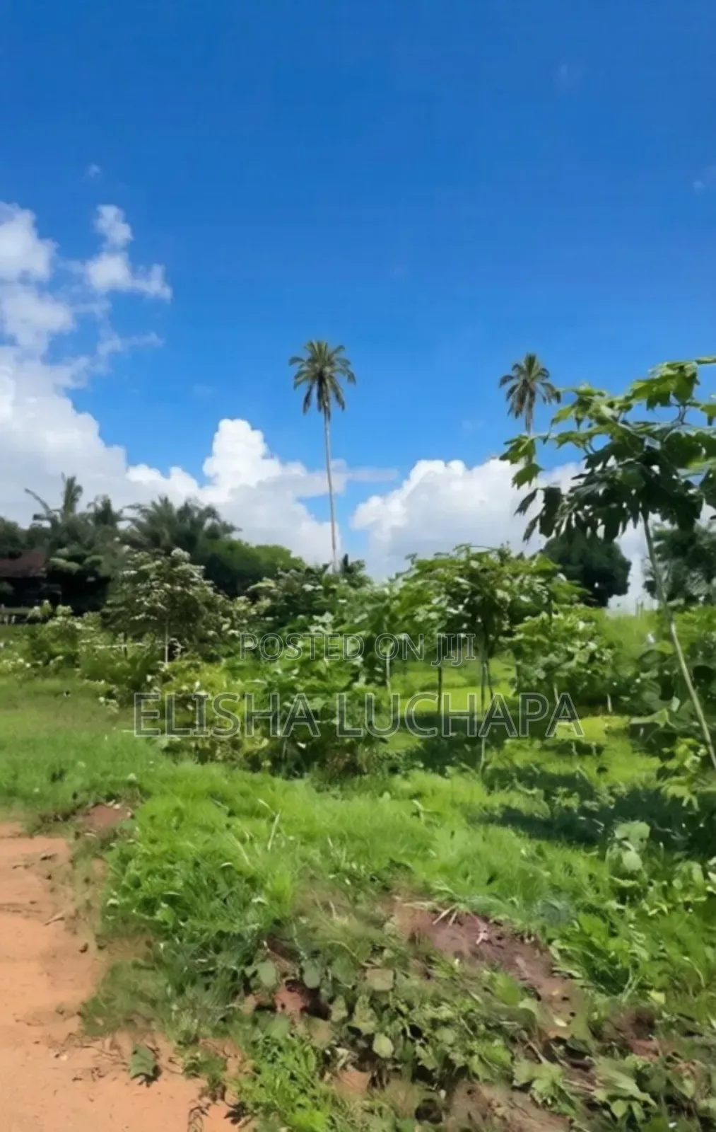 5 Acres for Sale at Kisarawe 2