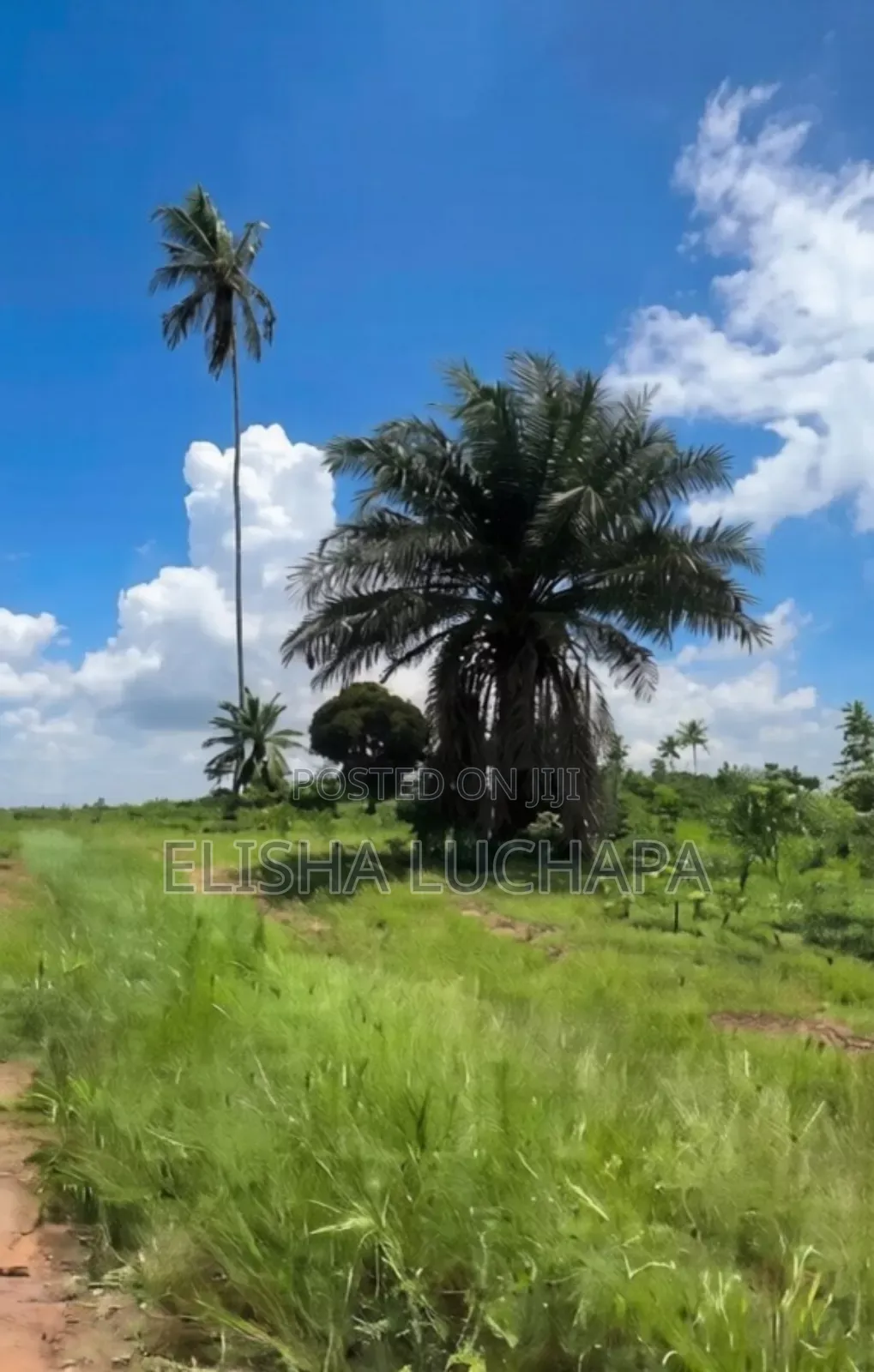 5 Acres for Sale at Kisarawe 2