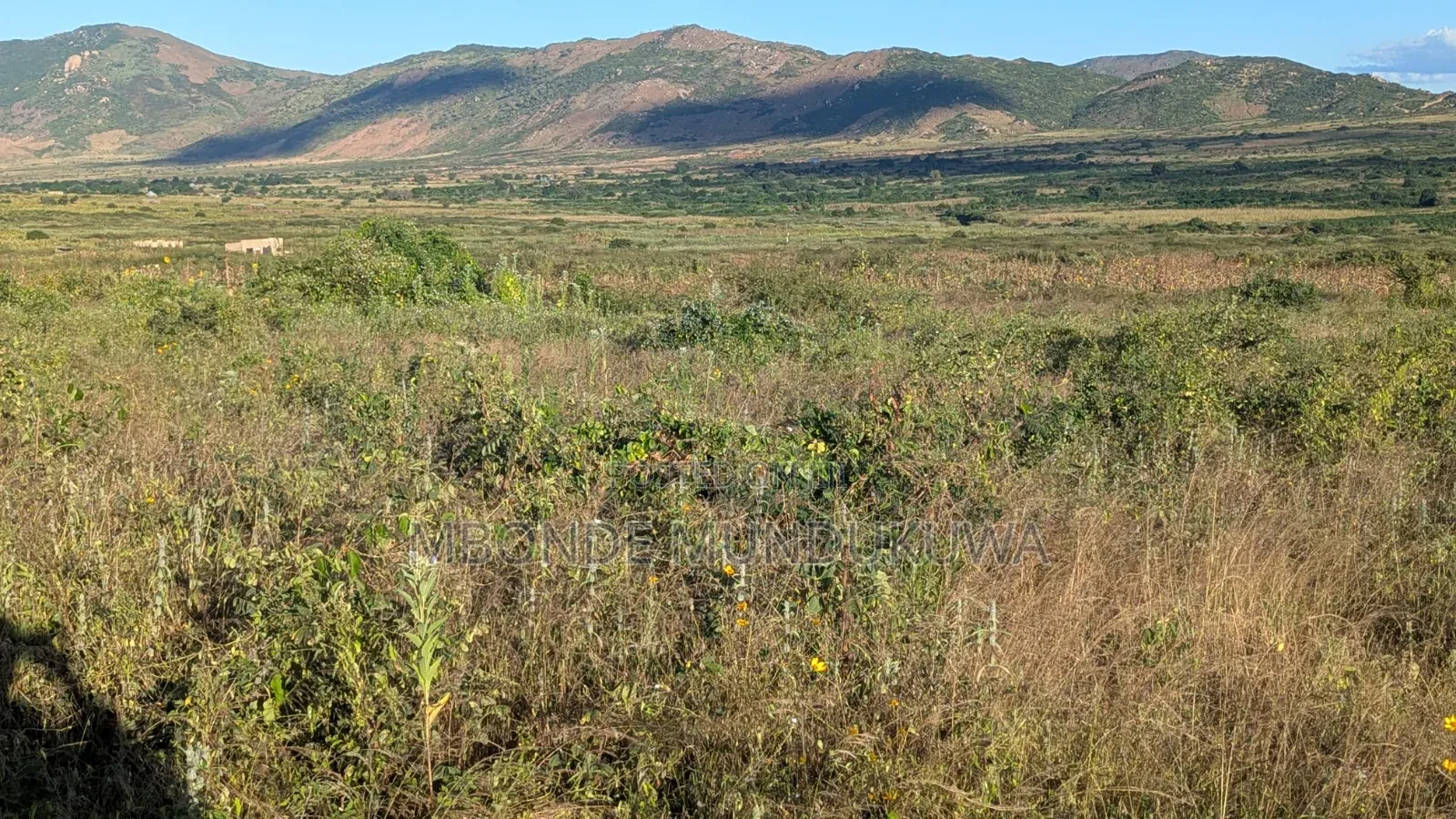 Viwanja Karibu Na Benjamin Mkapa Dodoma