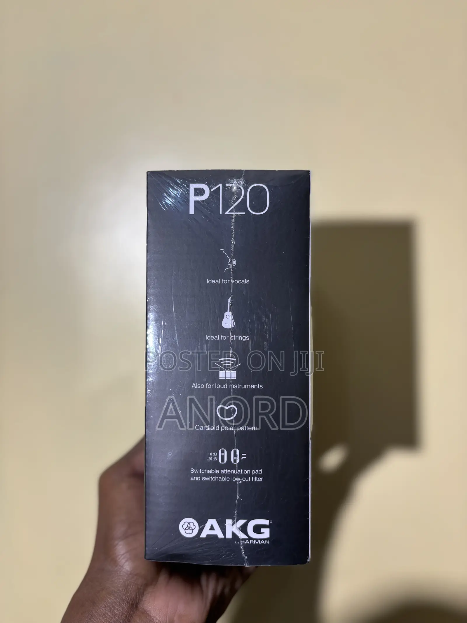 Akg P120 Condenser Microphone Professional Studio Mic Recording Podcas