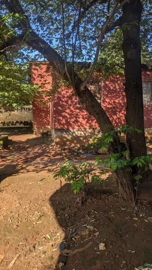 13bdrm House in Dalali Francis, Kilakala for sale