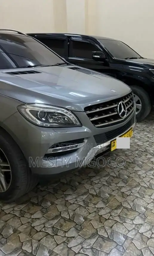 Mercedes-Benz M Class 2014 Silver
