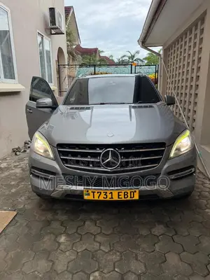 Mercedes-Benz M Class 2014 Silver