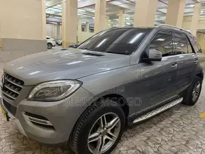 Mercedes-Benz M Class 2014 Silver