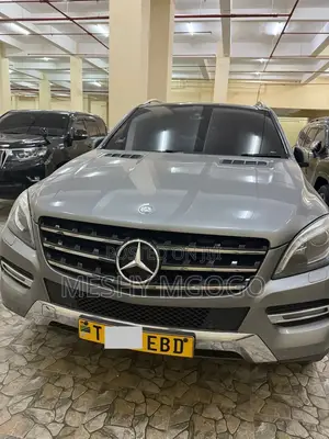 Mercedes-Benz M Class 2014 Silver
