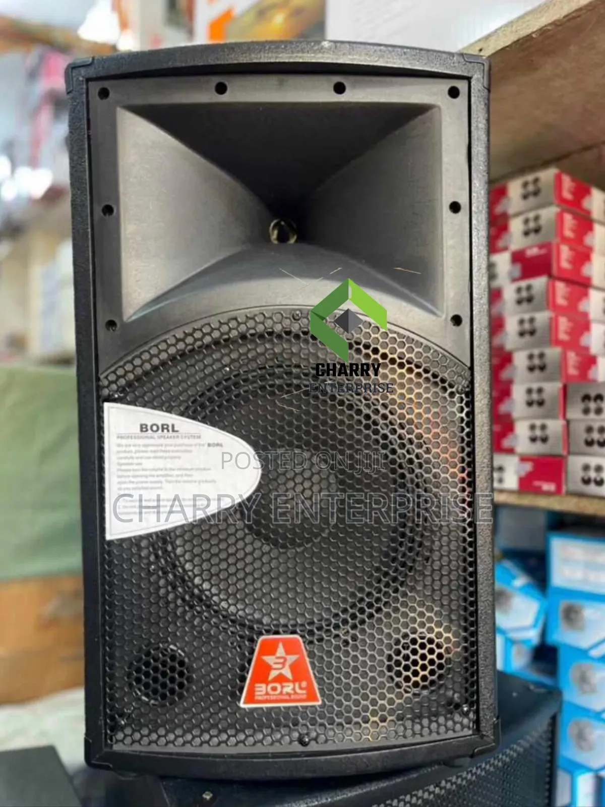 Borl Speaker Stage Monitor 12 Inch