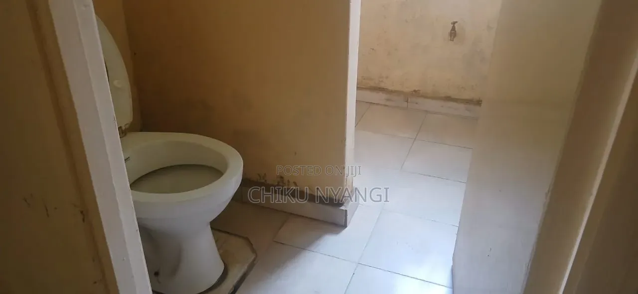 1bdrm Apartment in Chiku Nyangi, Central Business Area for rent