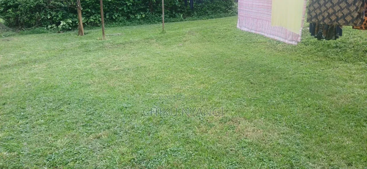 1bdrm Apartment in Chiku Nyangi, Central Business Area for rent
