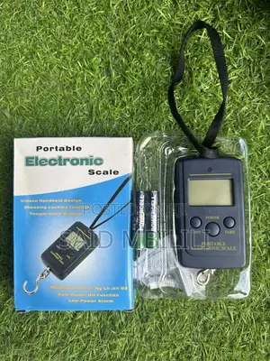 Mini Pocket Digital Scale Hanging Fishing Luggage 40kg/