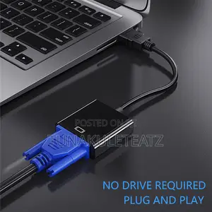 Disolay Pirt to Vga Converter