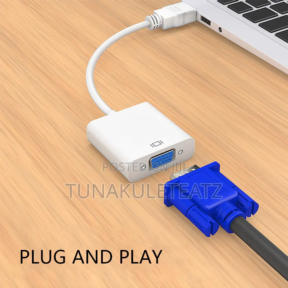 Disolay Pirt to Vga Converter