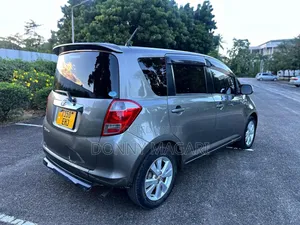 Toyota Ractis 2009 Gray