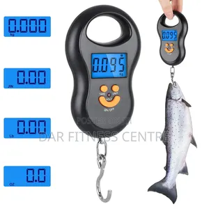 Portable Hanging Scale 50kg