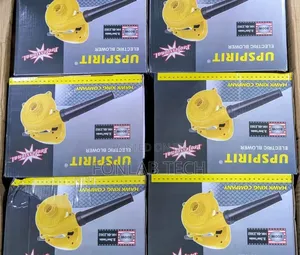 Electric Blower 800w 