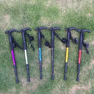 Black Anti Shock Trekking Pole - Zy