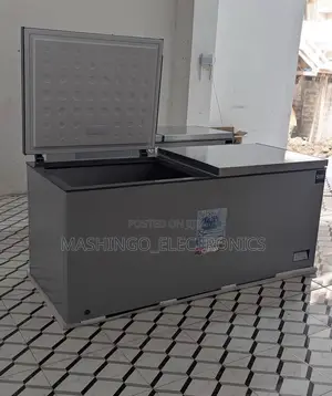 750 Liter Roch Freezer