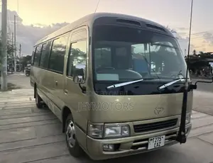Toyota Coaster 2004 Gold