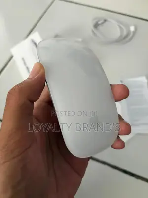 Apple Magic Mouse Black Usb-C –Premium Wireless Modern Apple Accessory