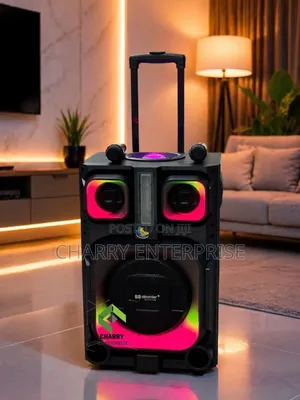 Aborder Party Speaker Rechargeable 2 Wireless Microphone Mic 