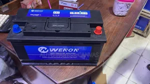 Wenon Battery 12v Din100