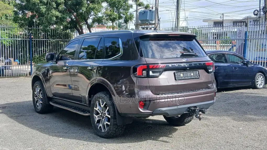 Ford Everest 2022 Gray
