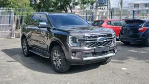 Ford Everest 2022 Gray