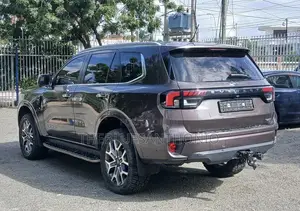 Ford Everest 2022 Gray