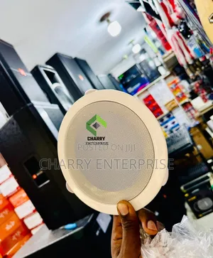 Professional Audio Ceiling Speaker 6 Inch Sauti Bila Kelele Pa Speaker