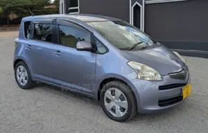 Toyota Ractis 2007 Gray