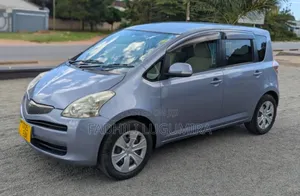 Toyota Ractis 2007 Gray