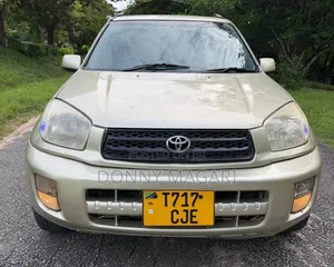 Toyota RAV4 2004 Gold