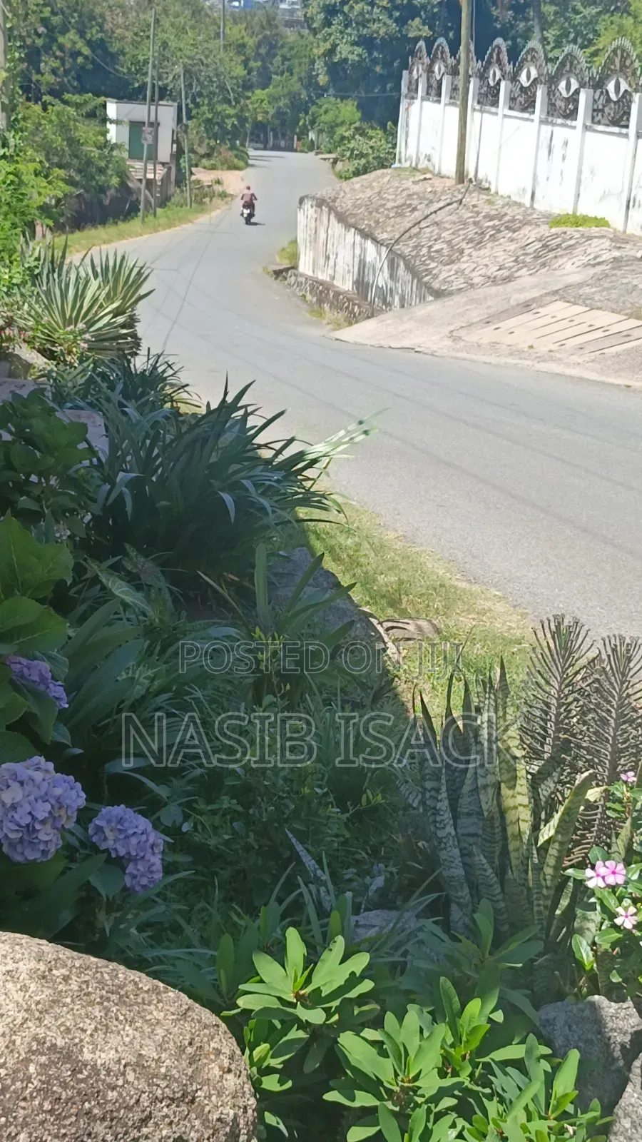 Plot for Sale Mwanza