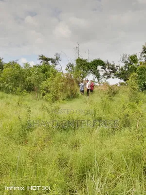 Shamba Linauzwa